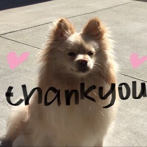 Meet your Posher, Ngoc